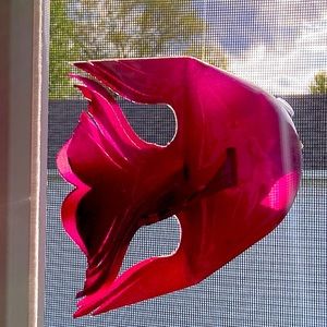 Handmade Water Bottle Fish 🐠.